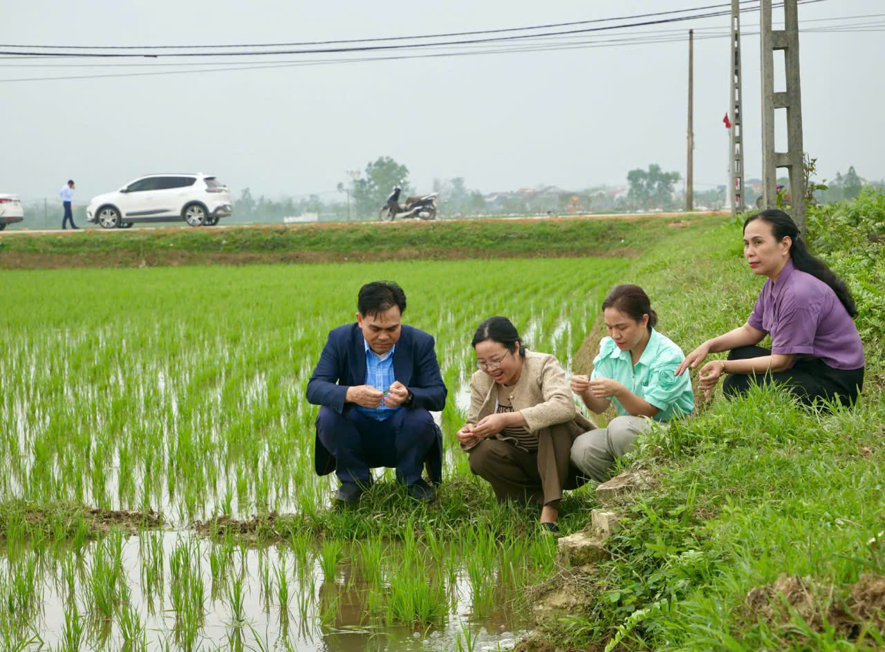 ph&oacute; chủ tịch.jpg