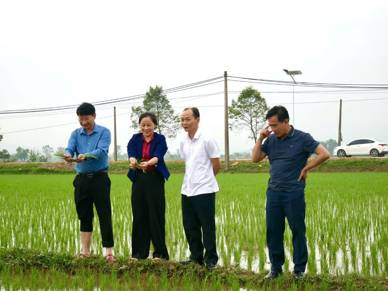 LÃNH ĐẠO XÃ ĐỨC THỊNH KIỂM TRA TÌNH HÌNH SẢN XUẤT LÚA VỤ XUÂN NĂM 2026