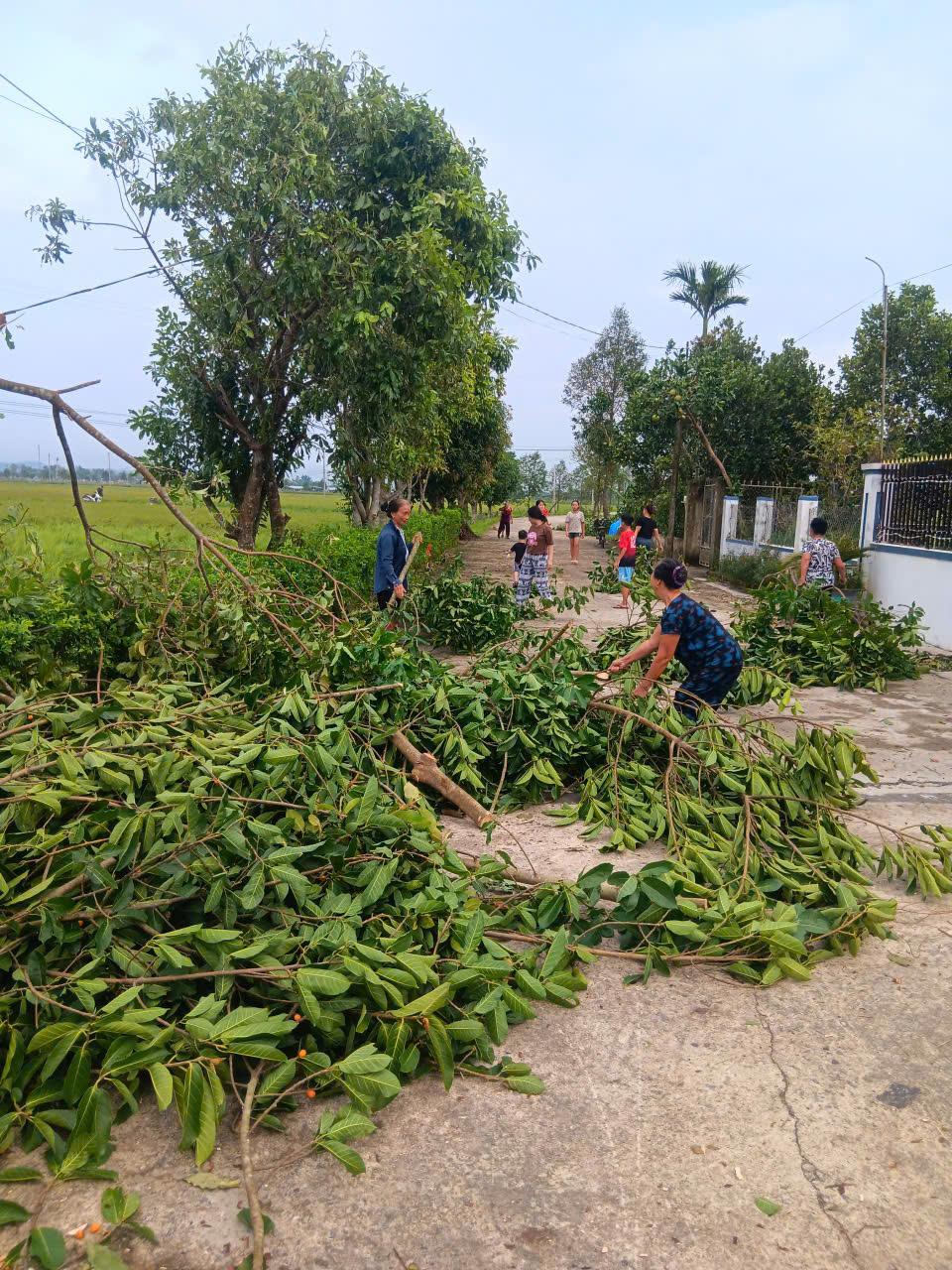 Xã Đức Thịnh khắc phục thiệt hại sau bão số 5